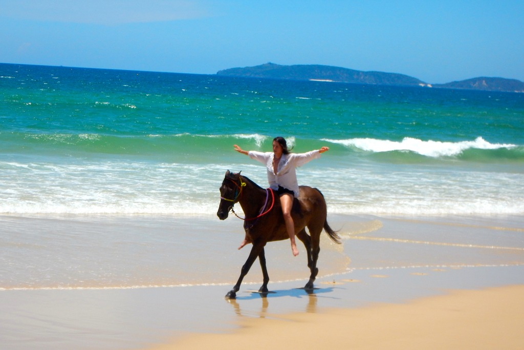 BeachHorseRide Rainbow Beach Horse Rides