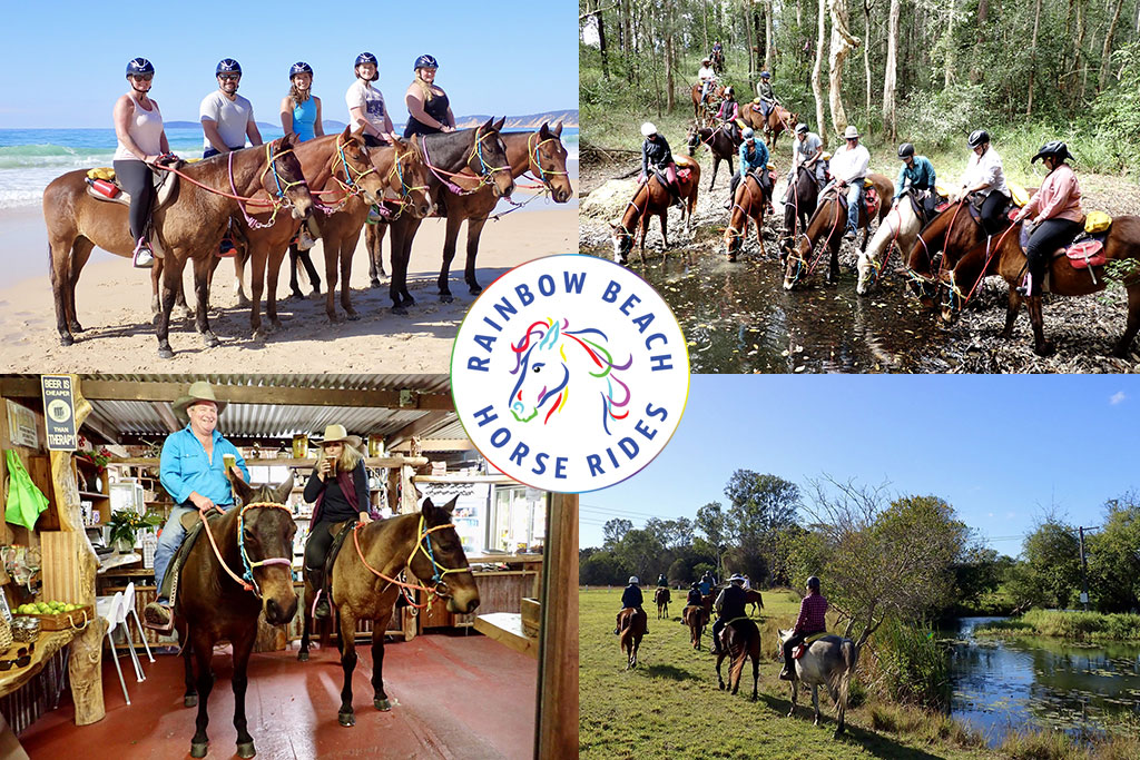 WATCH: Dolphins safeties learn to ride horses together